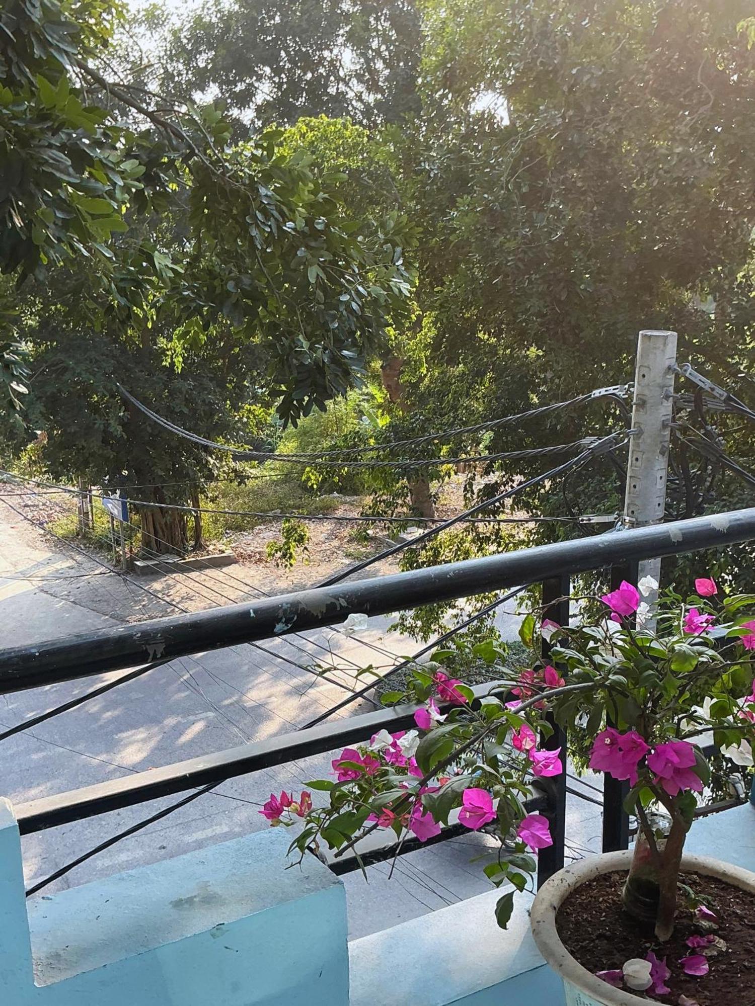 Tam Coc Sunset Homestay Ninh Binh Dış mekan fotoğraf