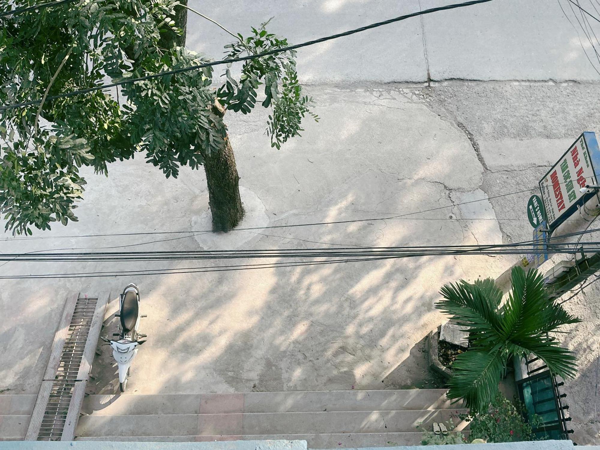 Tam Coc Sunset Homestay Ninh Binh Dış mekan fotoğraf